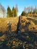 Działki budowlane Ignalin , warunki zabudowy-Domy - 6