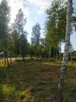 Działka budowlana 1000 m enklawa ciszy, bogata przyrodq - 3