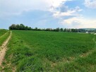Działka Wolbrom - 2