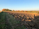 Działka Wolbrom - 3
