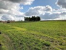 Działka Wolbrom - 5