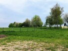 Działka Wolbrom - 8