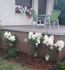 Dom Oborniki Śląskie, Kalinowa - 12
