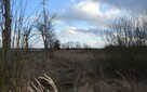 Na sprzedaż działka budowlana, Jezierzany, - 15