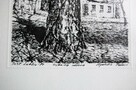 Drzewo, grafika czarno-biała, Agnieszka Paluch 1994 r. - 3