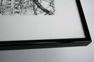 Drzewo, grafika czarno-biała, Agnieszka Paluch 1994 r. - 7