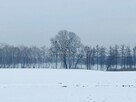 Działka siedliskowa Głodowo gm. Golina, - 4