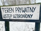 Działka siedliskowa Głodowo gm. Golina, - 10