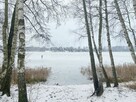 Działka siedliskowa Głodowo gm. Golina, - 11