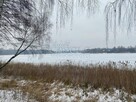 Działka siedliskowa Głodowo gm. Golina, - 13