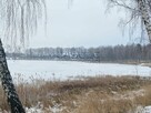 Działka siedliskowa Głodowo gm. Golina, - 14