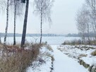 Działka siedliskowa Głodowo gm. Golina, - 15