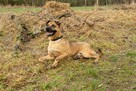 Koral do adopcji - 3