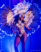 PREMIUM Samba Show - 16 lat Carnival Stars! - 8