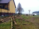 Żerdzie, świerkowe zdrowe dł. 8m gr. dołem 25-30 cm szt. 20 - 3
