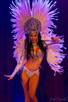 PREMIUM Samba Show - 16 lat Carnival Stars! - 9