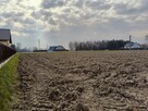 Działki - Pieszyce, gm. Żabno, małopolskie - 11