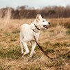 Piękny Tic od 11 lat nikt nie był w stanie go pokochać - 2
