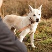 Piękny Tic od 11 lat nikt nie był w stanie go pokochać - 4