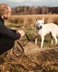 Piękny Tic od 11 lat nikt nie był w stanie go pokochać - 9
