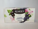 Herbata Remsey owocowa czarna porzeczka aronia 20t. - 1