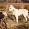 Piękny Tic od 11 lat nikt nie był w stanie go pokochać - 5