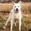 Piękny Tic od 11 lat nikt nie był w stanie go pokochać - 7