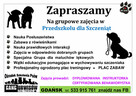 Przedszkole dla Szczeniąt Gdańsk Gang Urwisów - 2