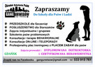 Szkolenie Psów Gdańsk Gang Urwisów - 2