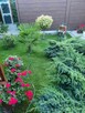 Sprzedam zadbane mieszkanie z pięknym ogrodem w Drezdenku - 11