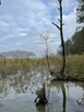 *Działka z linią brzegową jeziora Limajno* - 7
