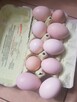Wiejskie jajeczka - 1