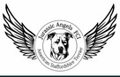 Amstaff / Amstaf / American Staffordshiere Terrier - 5
