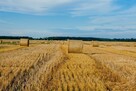 Działka Rolna - 1