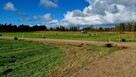 działki nad morzem na sprzedaż Karwia blisko plaży - 5