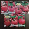 Rozsada sadzonki flance pomidorów wiele odmian papryka - 3