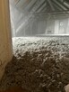 Ocieplanie i izolacje wełną celulozową - 9