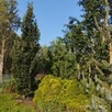 Działka rolna - 5