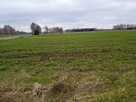 Sprzedam - 2