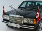 Mercedes-benz 250 1984 - 2