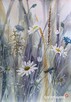 Akwarele Łąka, Dyptyk, 30X20 cm (x2),L. Olbrycht - 2