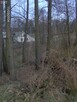 Działka Zalesie gm. Żabia Wola - 5