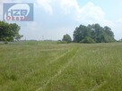 Działka Chlebnia gm. Grodzisk Mazowiecki - 1