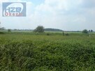 Działka Chlebnia gm. Grodzisk Mazowiecki - 2