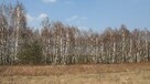 Działka Stare Budy gm. Jaktorów - 2