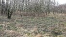 Działka Stare Budy gm. Jaktorów - 3