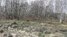 Działka Stare Budy gm. Jaktorów - 4