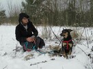 Lori do adopcji - 3