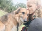 Gucio do adopcji - 5