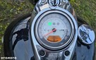 Kawasaki Vulcan - 6